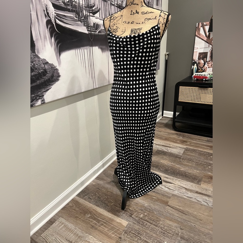 Zara polka dot “satin” maxi dress